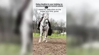 Being flexible while training your horse