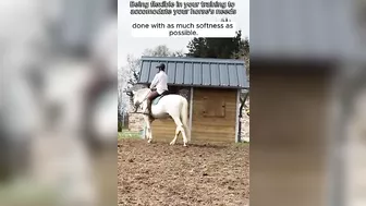 Being flexible while training your horse