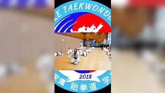 Taekwondo Warming Up | Stretching exercises for muscles, flexible #highlights #training