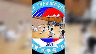 Taekwondo Warming Up | Stretching exercises for muscles, flexible #highlights #training