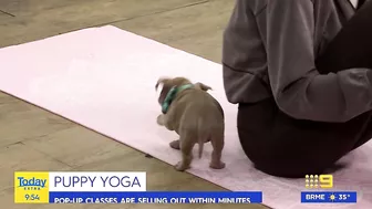 Today host loses it after pooch poops during puppy yoga | Today Show Australia