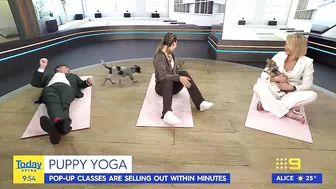 Today host loses it after pooch poops during puppy yoga | Today Show Australia