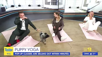 Today host loses it after pooch poops during puppy yoga | Today Show Australia