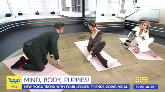 Today host loses it after pooch poops during puppy yoga | Today Show Australia