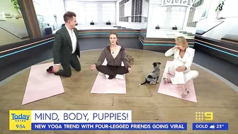 Today host loses it after pooch poops during puppy yoga | Today Show Australia