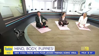 Today host loses it after pooch poops during puppy yoga | Today Show Australia