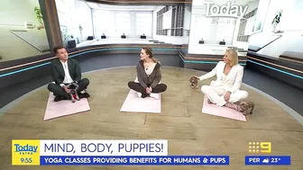 Today host loses it after pooch poops during puppy yoga | Today Show Australia