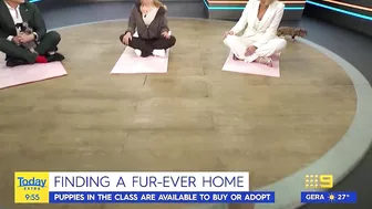 Today host loses it after pooch poops during puppy yoga | Today Show Australia