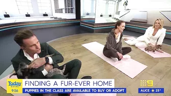 Today host loses it after pooch poops during puppy yoga | Today Show Australia