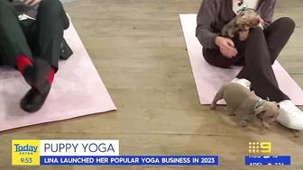 Today host loses it after pooch poops during puppy yoga | Today Show Australia