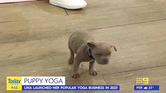 Today host loses it after pooch poops during puppy yoga | Today Show Australia