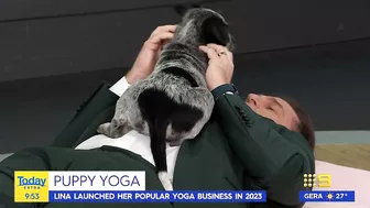 Today host loses it after pooch poops during puppy yoga | Today Show Australia