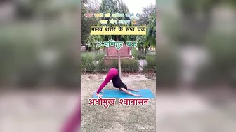 सप्त चक्रों को सक्रिय करने के लिए सात योग आसन????️????‍♀️Yoga Videos #shorts #viral #ytshorts #trending