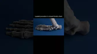 Your FEET are more FLEXIBLE than you think! #anatomy #feet #medicalstudent