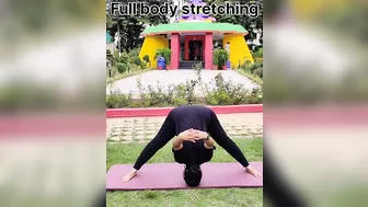 Stretching exercise by Alka Shrivastava #streatching exercise#yogateacher #asana #yogapose #yoga