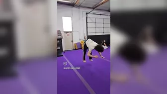 FIT AND FLEXIBLE