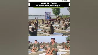 Yoga at LOC by Indian Army soldiers and dog squad ahead of International Yoga Day