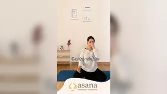 Asana Yoga: Una Variedad de Servicios para tu Bienestar