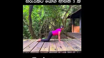 ඉක්මනින් සිරැරේ තරබාරුව අඩු කර ගන්න කැමති ඔබට #fylシ #yoga #yogawithaha