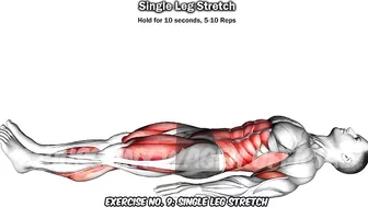 9 Quads Stretching Exercises After Leg Day????| Quads Pain Relief