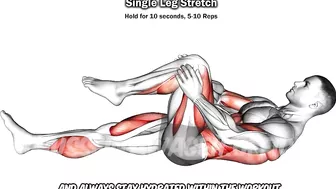 9 Quads Stretching Exercises After Leg Day????| Quads Pain Relief