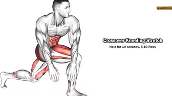 9 Quads Stretching Exercises After Leg Day????| Quads Pain Relief