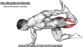 9 Quads Stretching Exercises After Leg Day????| Quads Pain Relief