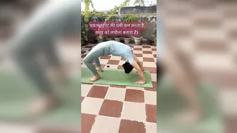 chakrasan for fat loss????#shorts #ytshorts #youtubeshorts #yoga