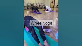 Wheel yoga | Yoga for stiff back | Iyengar yoga #yoga #yogacoach #vanshikapandey