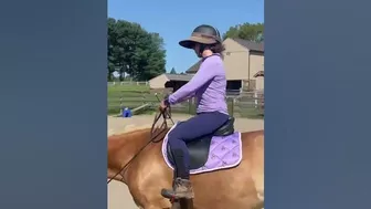 #haflinger #horseenthusiast #riding #horselover #haflingerhorse #stretching #horsingaround