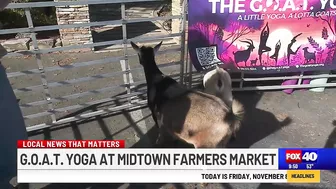 G.O.A.T. Yoga this weekend at Midtown Farmers Market