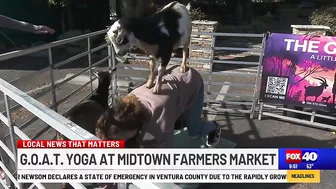 G.O.A.T. Yoga this weekend at Midtown Farmers Market