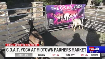 G.O.A.T. Yoga this weekend at Midtown Farmers Market