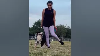 ????????‍♀️ ¡La perrita que hace yoga con su dueña te sorprenderá! #compañerosperfectos, #amorperruno