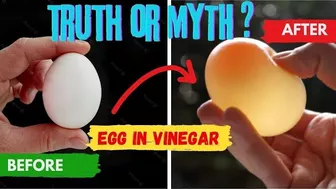 how to make a flexible egg |homemade flexible egg kiss terika Sai banai | Ahmed x experiment