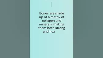 Bones are strong and flexible. #Motivation #PositiveVibes #Inspiration #Goals #trensie