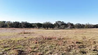 E stretching the 308 out to 200 yards with a 1-6x optic