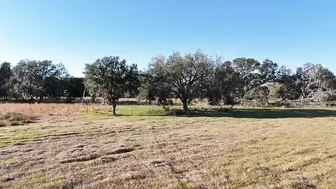 E stretching the 308 out to 200 yards with a 1-6x optic