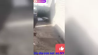 Un día solíado en Pensilvania #asta #humor #twerk